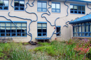 Drawing Water: Artist Talk and Workshop with Stacy Levy