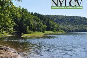 Green Infrastructure in the Delaware River Watershed